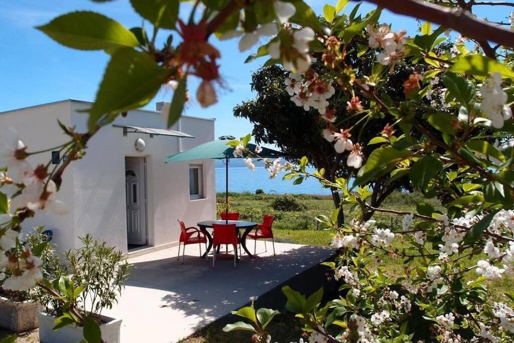 Summerhouse Calypso Split Extérieur photo